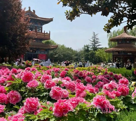 1774966338123178.png 1.png