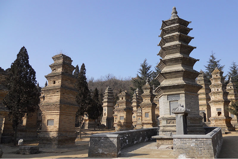 郑州市管城区中青旅行社：专业定制个性化旅游服务的本地优选伙伴